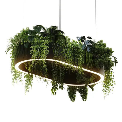 PLANTS