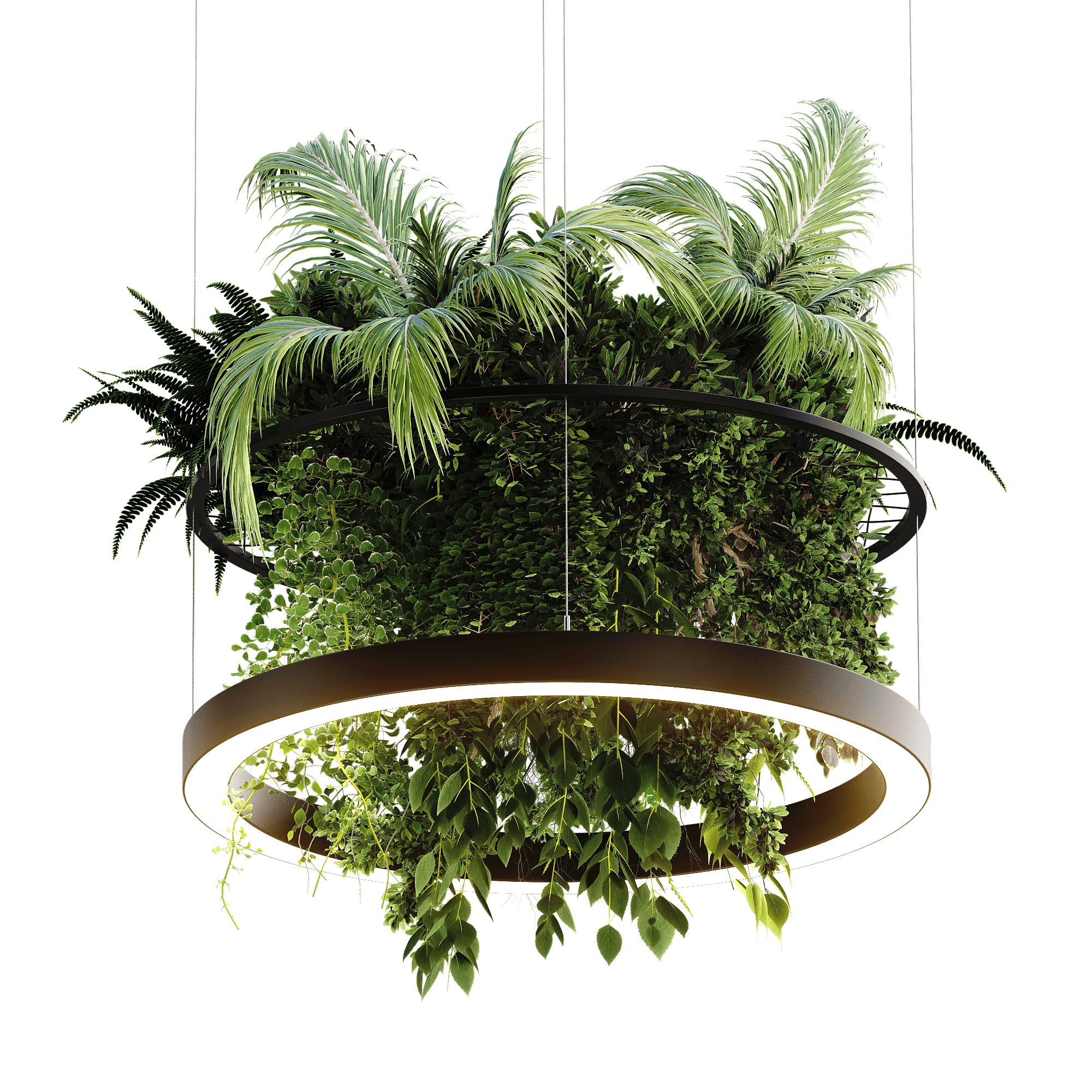 Подвесной светодиодный двухкольцевой светильник с растениями DOUBLE HALO PLANTS