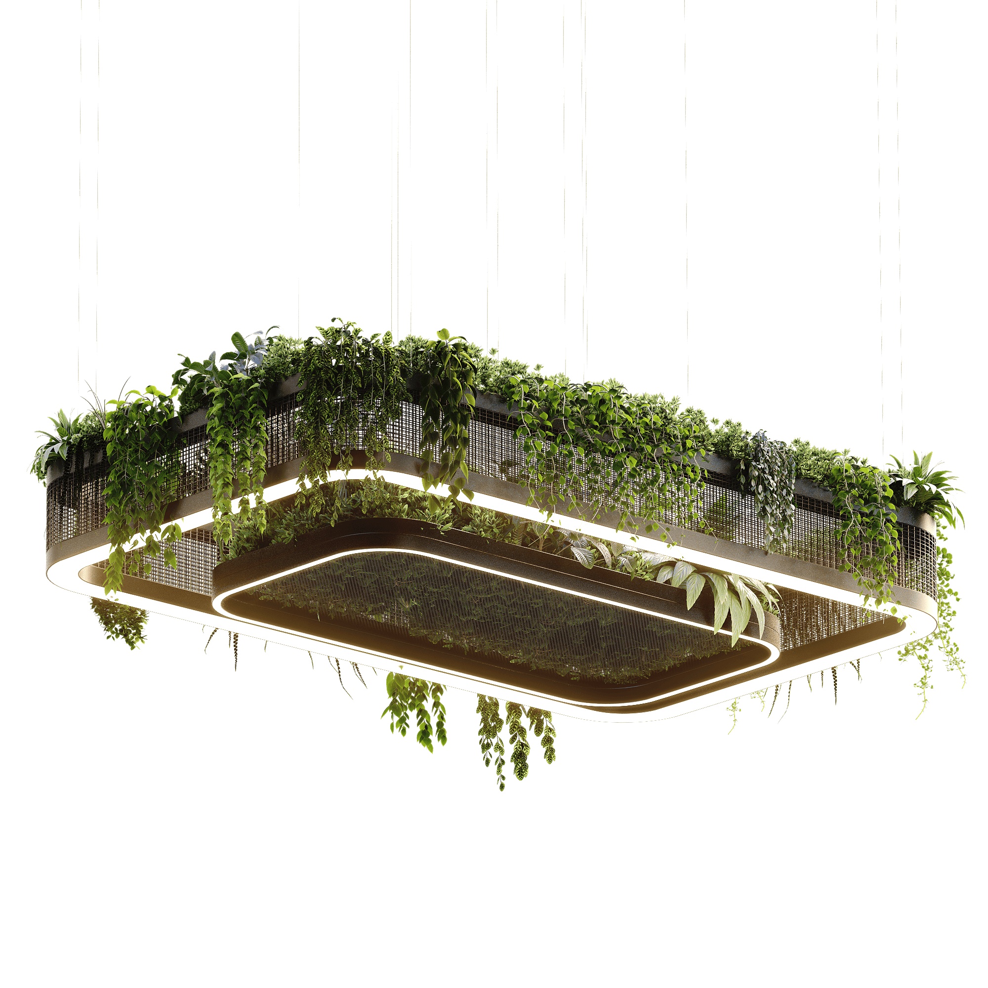 Подвесной светодиодный прямоугольный светильник с растениями FRAME PLANTS