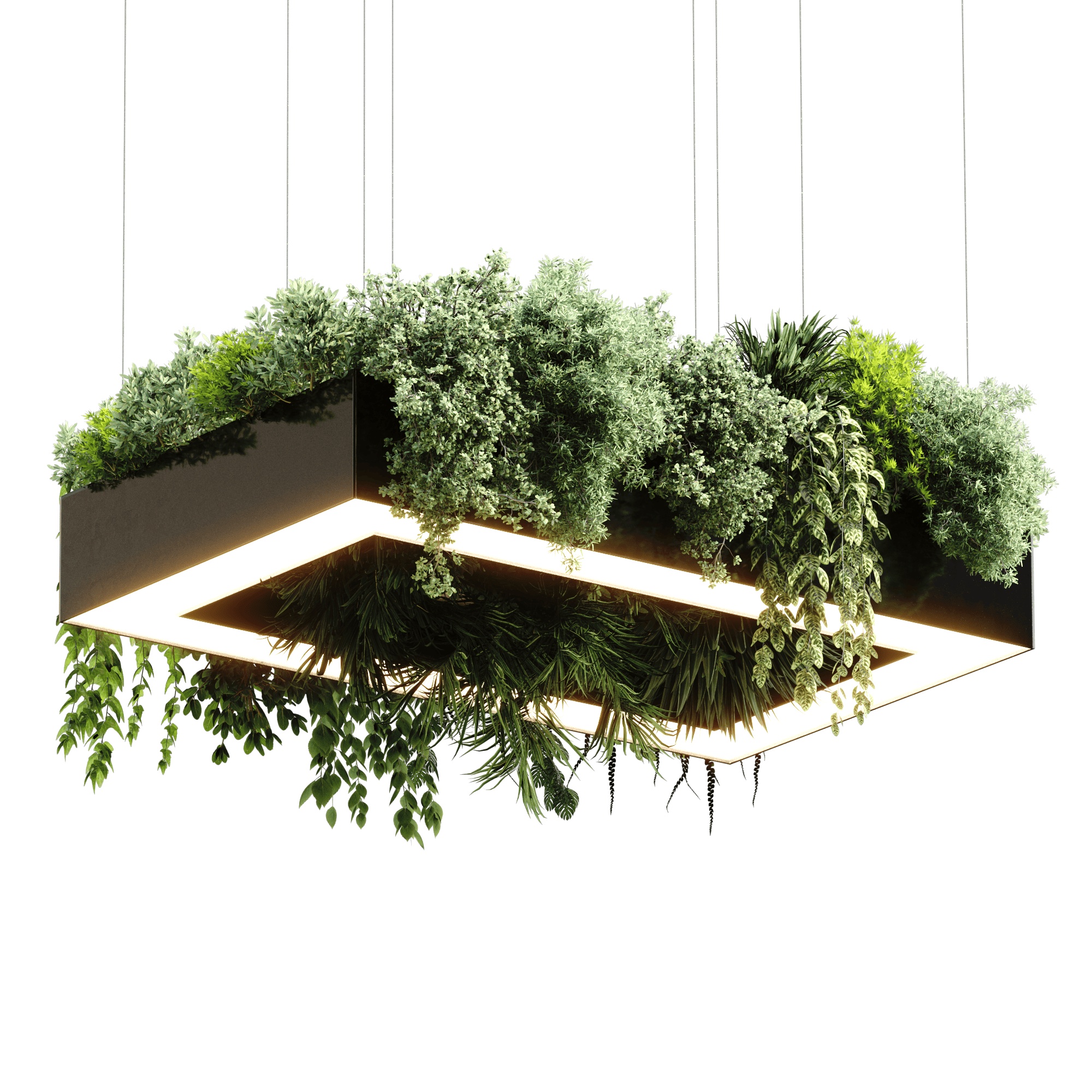 Подвесной светодиодный прямоугольный светильник с растениями QUAD PLANTS