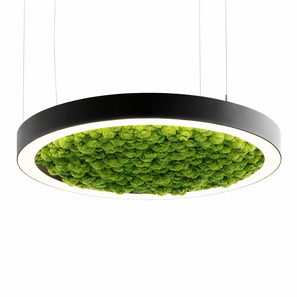 Подвесной светильник кольцо со мхом D800мм